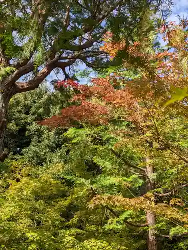 勝林寺(京都府)