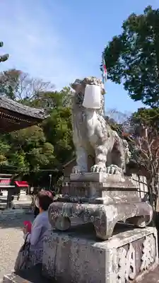 牟呂八幡宮の狛犬