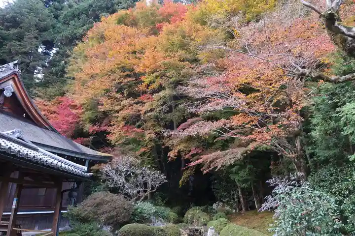 寂光院(京都府)