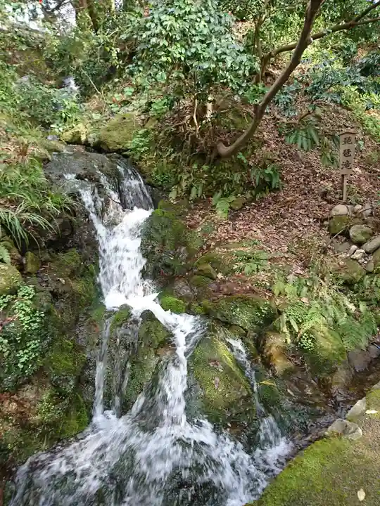 白山比咩神社の自然