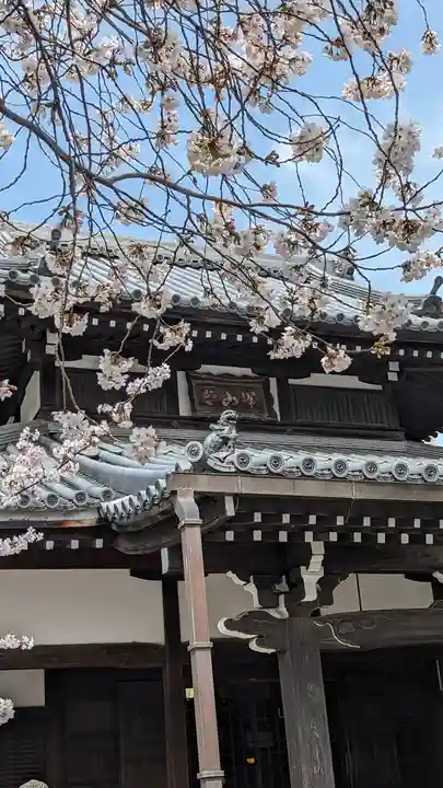 本法寺(京都府)