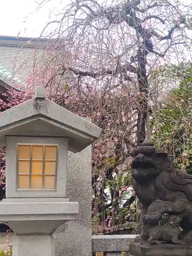 牛天神北野神社(東京都)