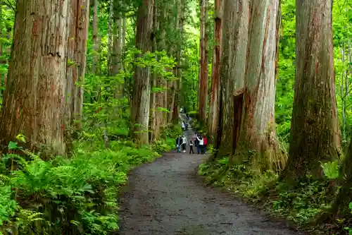 戸隠神社奥社(長野県)