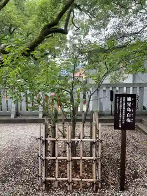 加納天満宮(岐阜県)