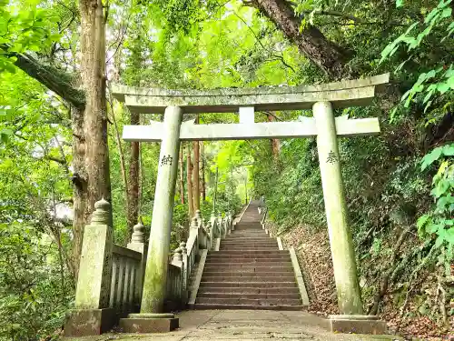 厳魂神社（金刀比羅宮奥社）の鳥居