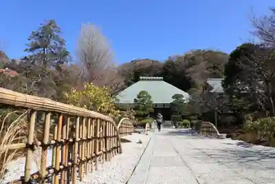 浄妙寺(神奈川県)