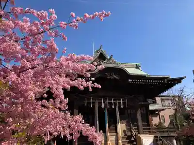 桜神宮(東京都)