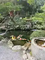 一條殿 新善光寺(京都府)