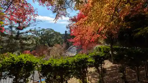十輪寺(京都府)