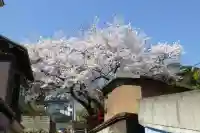 福壽稲荷神社(山口県)