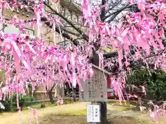 桜神宮の庭園