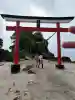 菅原神社の{uncategorized: "未分類", other: "その他", undefined: "問題あり", building: "その他建物", grave: "お墓", sacred_gate: "鳥居", guardian: "狛犬", statue: "像", buddha: "仏像", history: "歴史", nature: "自然", garden: "庭園", animal: "動物", pagoda: "塔", temizu: "手水舎", mountain_gate: "山門・神門", sanctuary: "本殿・本堂", subordinate: "末社・摂社", art: "芸術", scenery: "景色", jizo: "地蔵", ema: "絵馬", goshuin: "御朱印", omikuji: "おみくじ", items: "授与品その他", amulet: "お守り", goshuincho: "御朱印帳", eats: "食事", festival: "お祭り", votive_dance: "神楽", shichigosan: "七五三参", wedding: "結婚式", experience: "体験その他", initially: "初詣", around: "周辺", anti_infection: "感染症対策"}