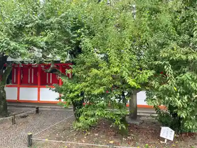 北野天満宮(京都府)