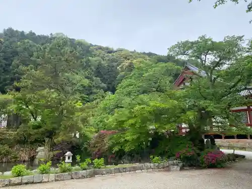 矢田寺観音堂の{uncategorized: "未分類", other: "その他", undefined: "問題あり", building: "その他建物", grave: "お墓", sacred_gate: "鳥居", guardian: "狛犬", statue: "像", buddha: "仏像", history: "歴史", nature: "自然", garden: "庭園", animal: "動物", pagoda: "塔", temizu: "手水舎", mountain_gate: "山門・神門", sanctuary: "本殿・本堂", subordinate: "末社・摂社", art: "芸術", scenery: "景色", jizo: "地蔵", ema: "絵馬", goshuin: "御朱印", omikuji: "おみくじ", items: "授与品その他", amulet: "お守り", goshuincho: "御朱印帳", eats: "食事", festival: "お祭り", votive_dance: "神楽", shichigosan: "七五三参", wedding: "結婚式", experience: "体験その他", initially: "初詣", around: "周辺", anti_infection: "感染症対策"}