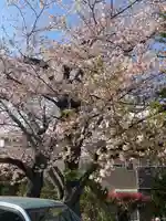 蓮大寺(神奈川県)