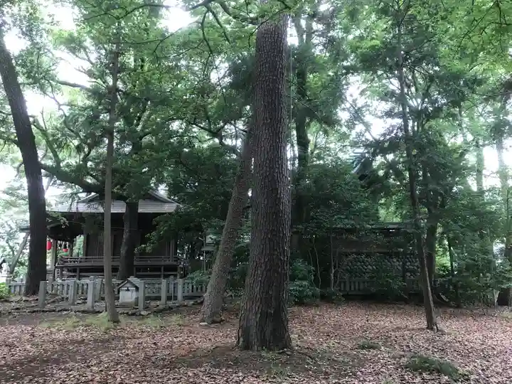 宗像神社(静岡県)