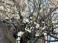 妙典寺の{uncategorized: "未分類", other: "その他", undefined: "問題あり", building: "その他建物", grave: "お墓", sacred_gate: "鳥居", guardian: "狛犬", statue: "像", buddha: "仏像", history: "歴史", nature: "自然", garden: "庭園", animal: "動物", pagoda: "塔", temizu: "手水舎", mountain_gate: "山門・神門", sanctuary: "本殿・本堂", subordinate: "末社・摂社", art: "芸術", scenery: "景色", jizo: "地蔵", ema: "絵馬", goshuin: "御朱印", omikuji: "おみくじ", items: "授与品その他", amulet: "お守り", goshuincho: "御朱印帳", eats: "食事", festival: "お祭り", votive_dance: "神楽", shichigosan: "七五三参", wedding: "結婚式", experience: "体験その他", initially: "初詣", around: "周辺", anti_infection: "感染症対策"}