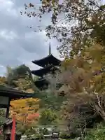 當麻寺中之坊(奈良県)