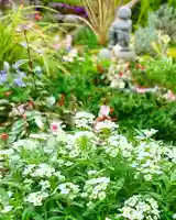 寿量山 速成寺の庭園