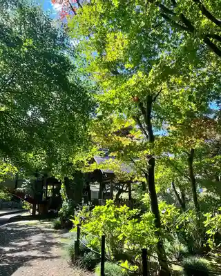 本土寺(千葉県)