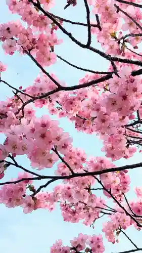 新萱田水神宮の自然