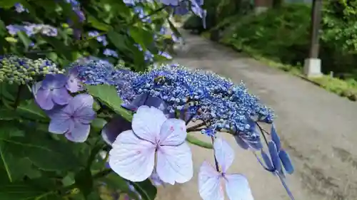 普門院の建物その他