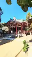 柏諏訪神社の本殿・本堂