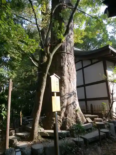 川越氷川神社の庭園