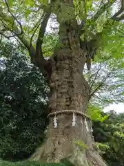 荏柄天神社(神奈川県)