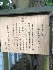 白山神社(福井県)