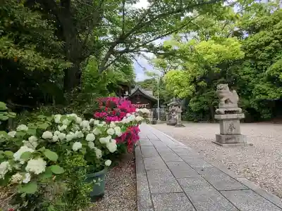八柱神社（荒尾）の{uncategorized: "未分類", other: "その他", undefined: "問題あり", building: "その他建物", grave: "お墓", sacred_gate: "鳥居", guardian: "狛犬", statue: "像", buddha: "仏像", history: "歴史", nature: "自然", garden: "庭園", animal: "動物", pagoda: "塔", temizu: "手水舎", mountain_gate: "山門・神門", sanctuary: "本殿・本堂", subordinate: "末社・摂社", art: "芸術", scenery: "景色", jizo: "地蔵", ema: "絵馬", goshuin: "御朱印", omikuji: "おみくじ", items: "授与品その他", amulet: "お守り", goshuincho: "御朱印帳", eats: "食事", festival: "お祭り", votive_dance: "神楽", shichigosan: "七五三参", wedding: "結婚式", experience: "体験その他", initially: "初詣", around: "周辺", anti_infection: "感染症対策"}