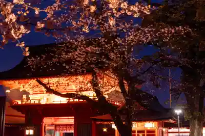 富士山本宮浅間大社(静岡県)