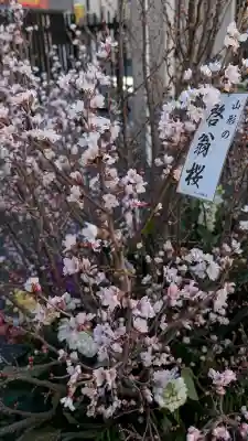 眞性寺の{uncategorized: "未分類", other: "その他", undefined: "問題あり", building: "その他建物", grave: "お墓", sacred_gate: "鳥居", guardian: "狛犬", statue: "像", buddha: "仏像", history: "歴史", nature: "自然", garden: "庭園", animal: "動物", pagoda: "塔", temizu: "手水舎", mountain_gate: "山門・神門", sanctuary: "本殿・本堂", subordinate: "末社・摂社", art: "芸術", scenery: "景色", jizo: "地蔵", ema: "絵馬", goshuin: "御朱印", omikuji: "おみくじ", items: "授与品その他", amulet: "お守り", goshuincho: "御朱印帳", eats: "食事", festival: "お祭り", votive_dance: "神楽", shichigosan: "七五三参", wedding: "結婚式", experience: "体験その他", initially: "初詣", around: "周辺", anti_infection: "感染症対策"}