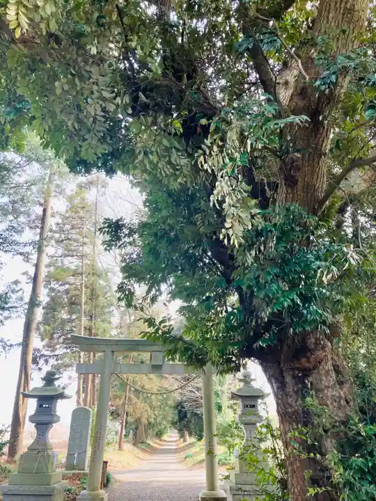 鷲宮神社(茨城県)
