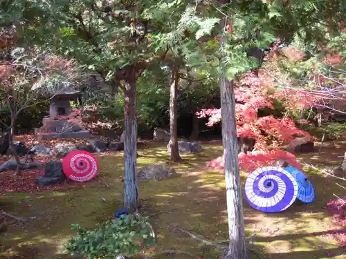 勝林寺の庭園