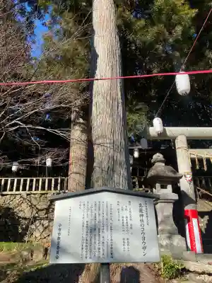 日光大室高龗神社(栃木県)