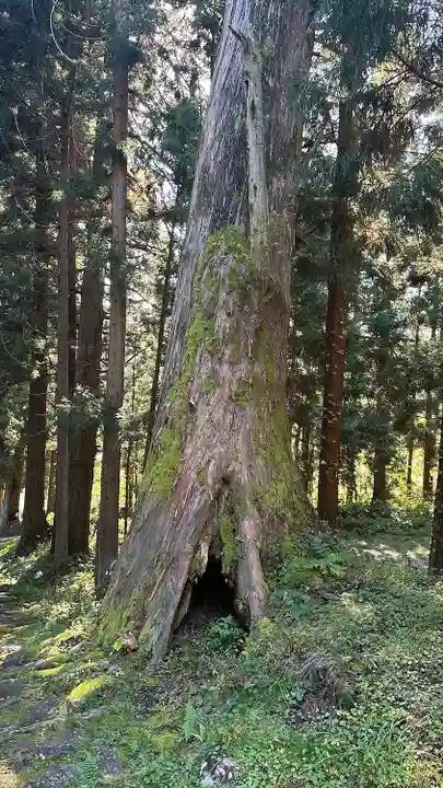 観音寺(山形県)