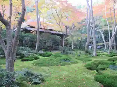 祇王寺(京都府)