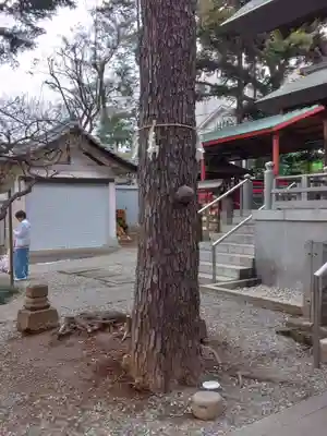 用賀神社(東京都)