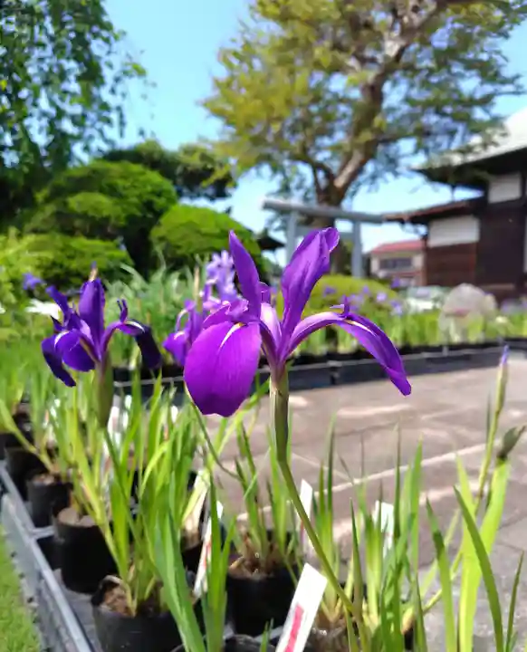 正泉寺(神奈川県)
