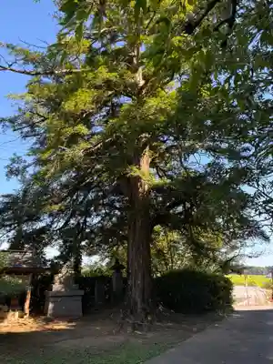 普門院(千葉県)
