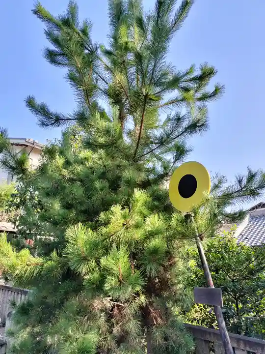 離宮八幡宮(京都府)