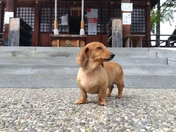 杉杜白髭神社(福井県)