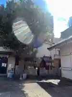 綱敷天神社の御朱印