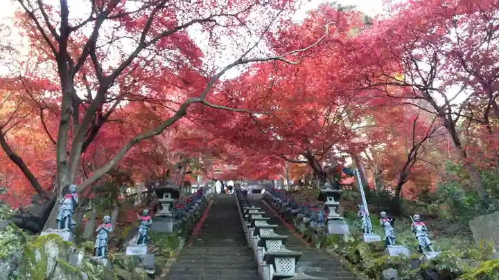 大山寺(神奈川県)