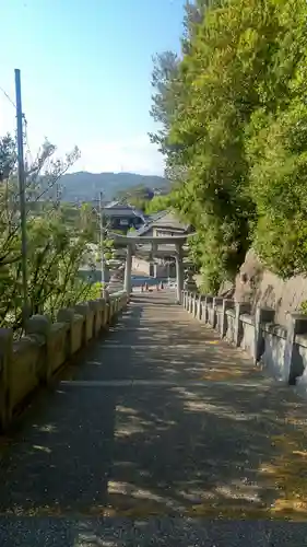 小川八幡宮の鳥居