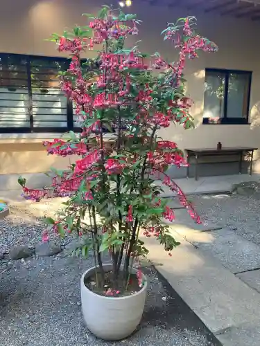 赤坂氷川神社(東京都)