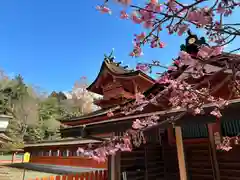 富士山本宮浅間大社(静岡県)