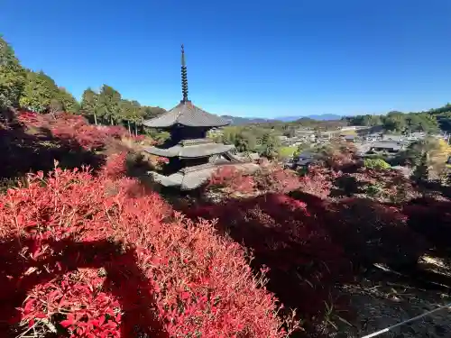 常樂寺(滋賀県)