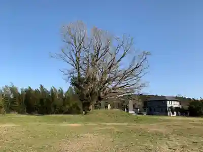 三峯神社の自然